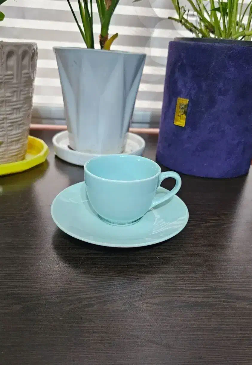 فنجون نعلبکی|سرویس روتختی|لنگرود, |دیوار