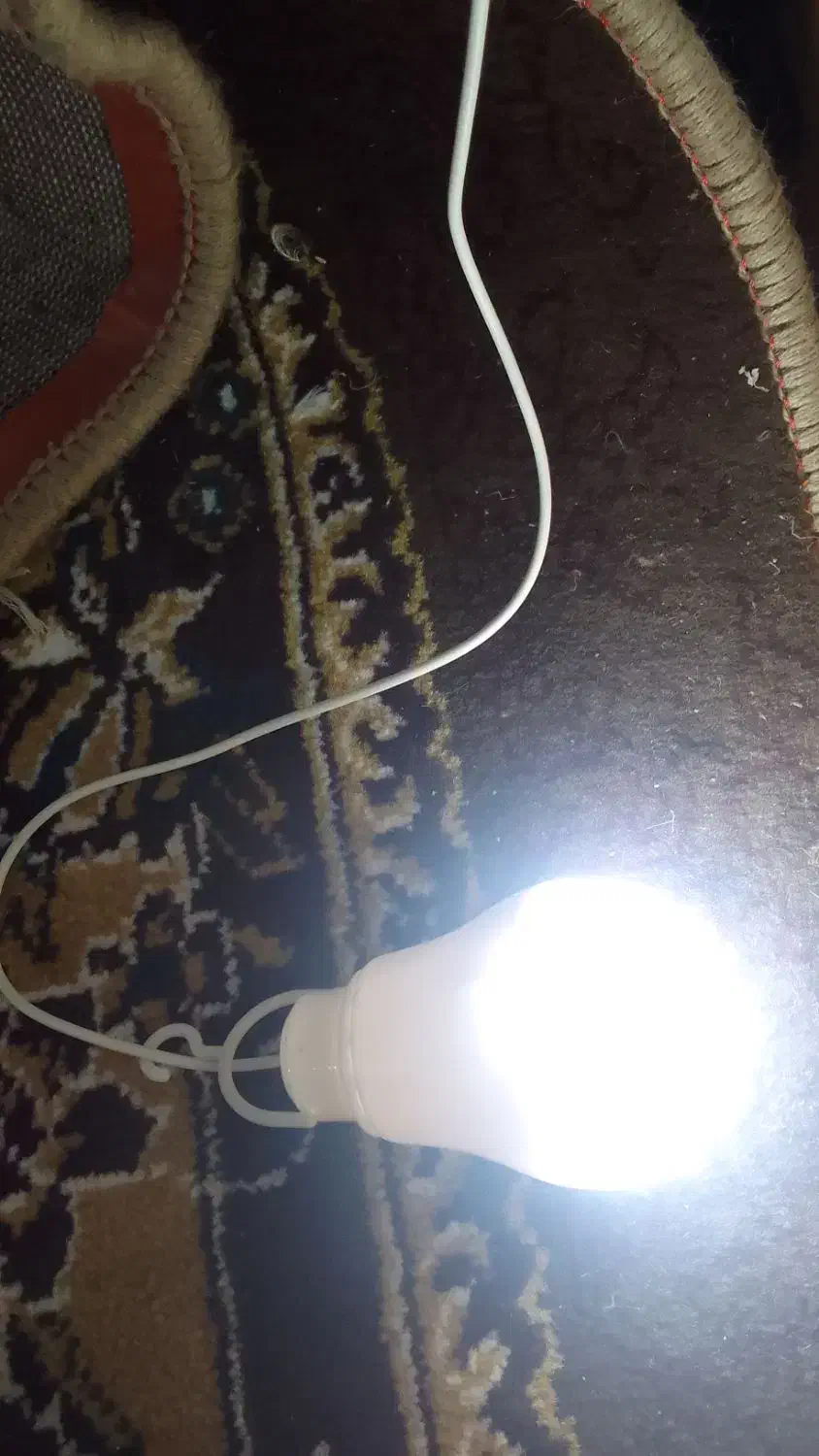 سینه ای درجه یک ماده ۲۰۰ و توقی سرحال دوری ۳۰۰|پرنده|شوشتر, |دیوار