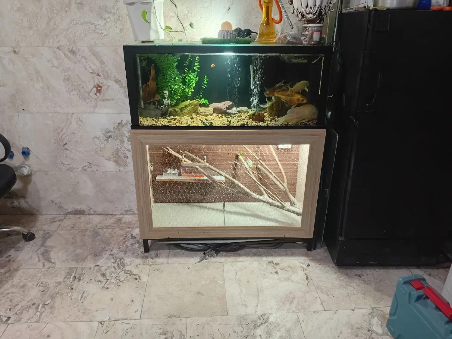 اکواریوم و قفس پرنده|ماهی|صومعهسرا, |دیوار