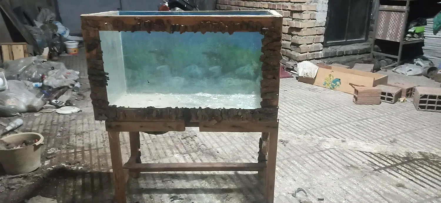 اکواریوم یک متر در یک متر کامل|ماهی|آزادشهر, |دیوار