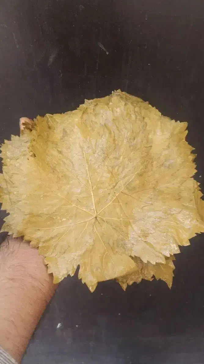 برگ مو * برگ انگور* دلمه|خوردنی و آشامیدنی|هشتگرد, شهرک ولیعصر (مصلی)|دیوار