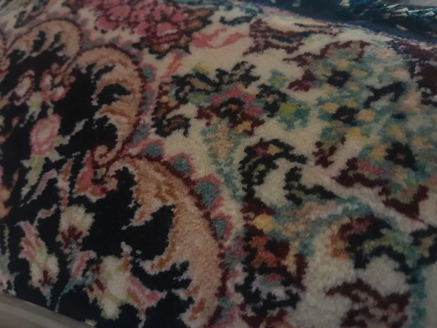 کناره قالی|فرش|رفسنجان, |دیوار