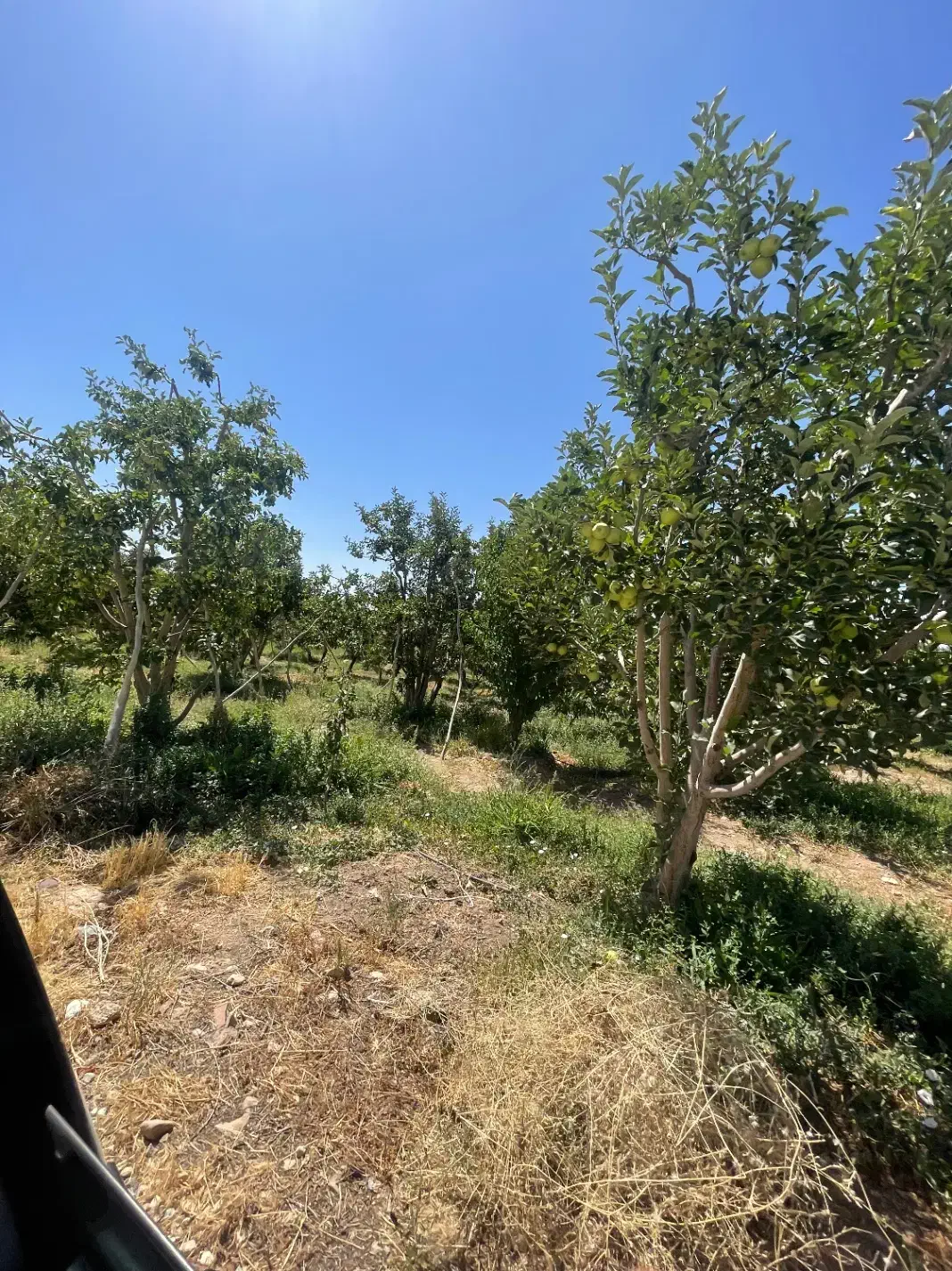 ۴۵۰مترسنددارشهرکیجاباندماونداقساط۵ماه)اببرقگاز|فروش زمین و ملک کلنگی|جاجرود, |دیوار