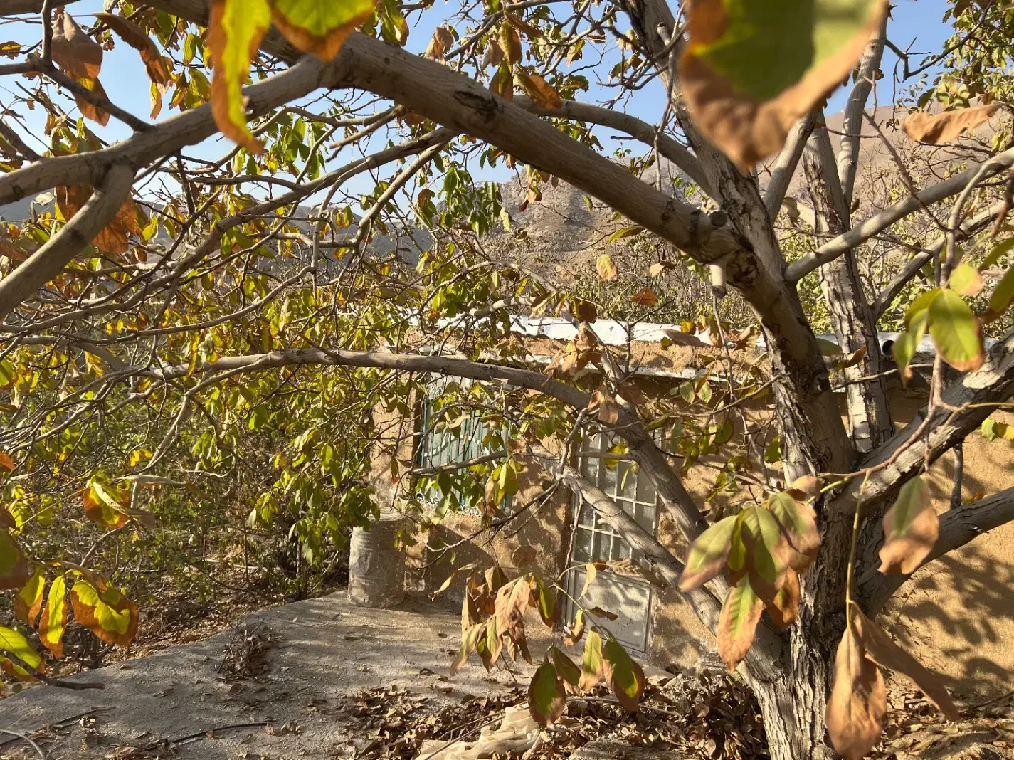 باغچه ۴۰۰ متری با سوییت نوساز وردیج|فروش خانه و ویلا|کن, |دیوار