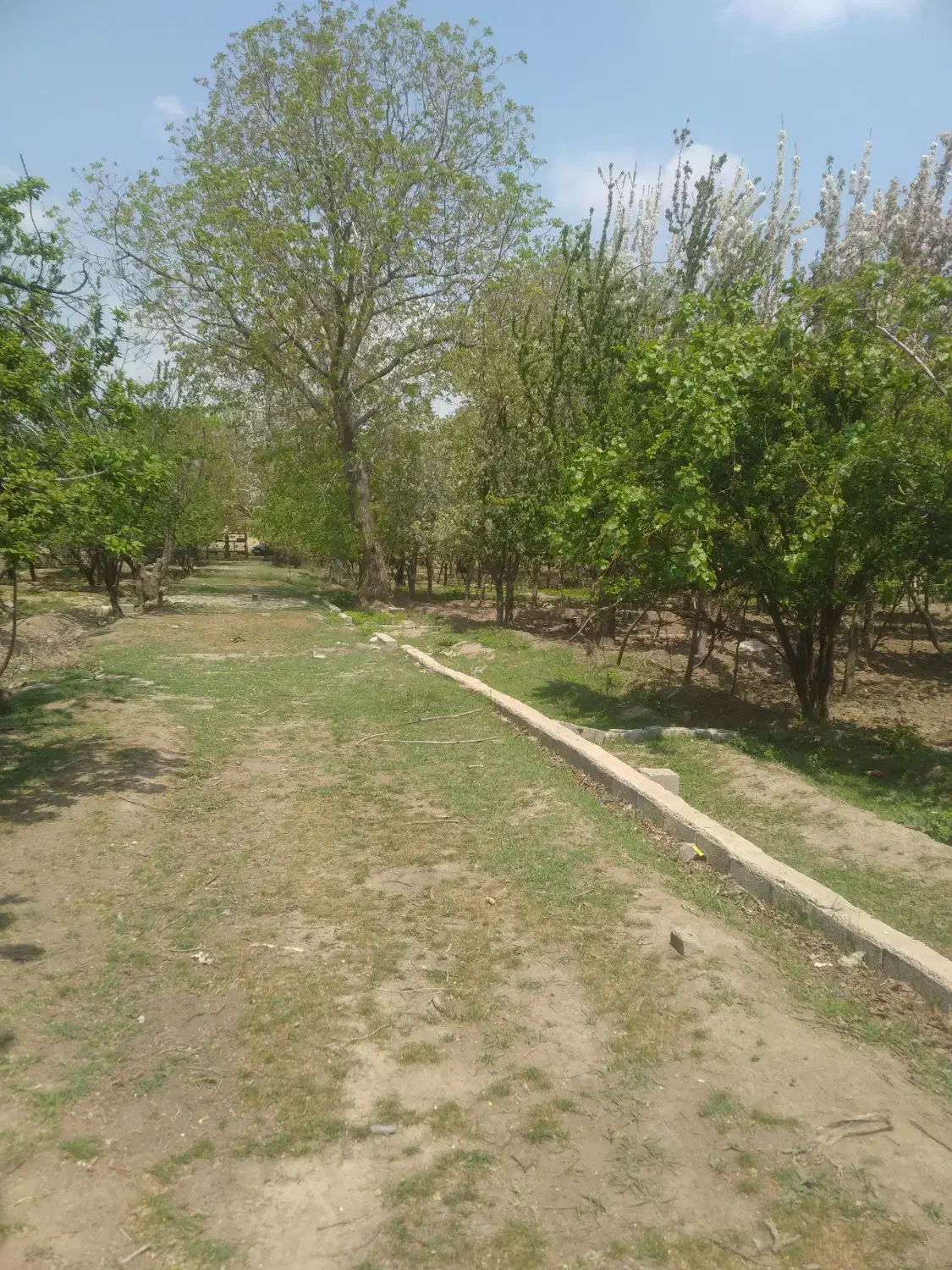 ۵قطعه باغچه ۳۵۰ متری سنددارکنارهم درکرج|فروش زمین و ملک کلنگی|کرج, کلاک پایین|دیوار