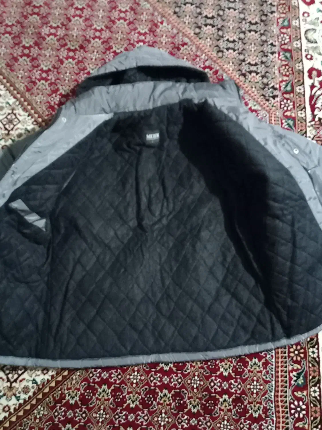 کاپشن|لباس|شاهین دژ, |دیوار