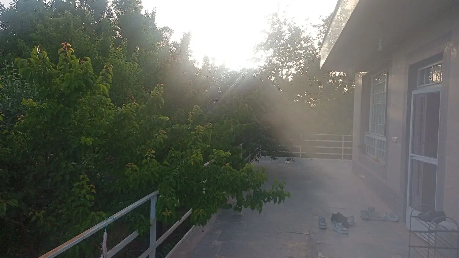 تصویر 13