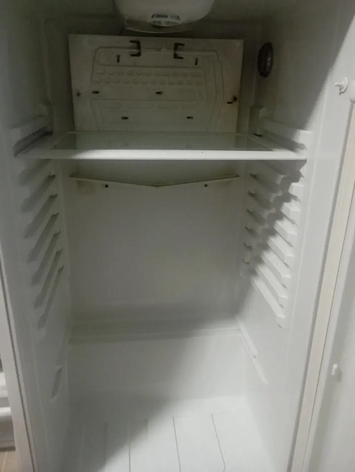 یخچال فریزر کارکرده|یخچال و فریزر|سرخه, |دیوار