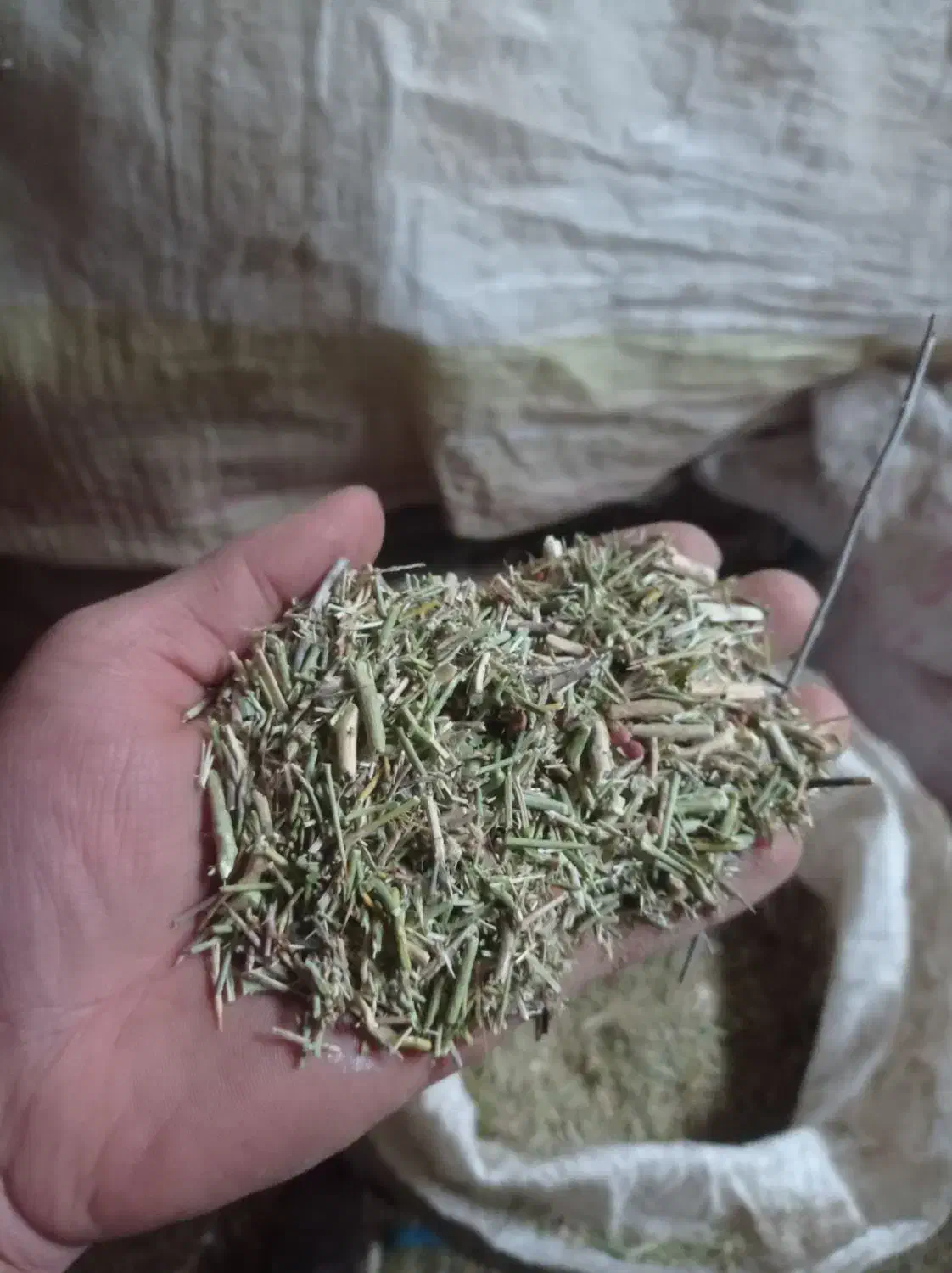 خار|لوازم جانبی حیوانات|فریمان, |دیوار