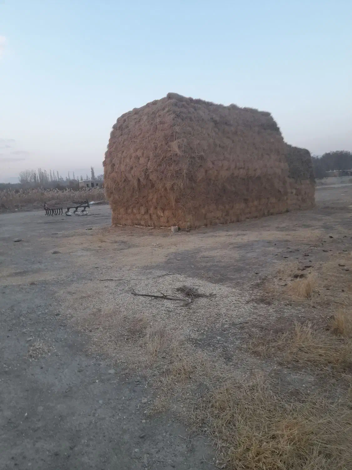 یونجه خالص|حیوانات مزرعه|نوشین شهر, |دیوار