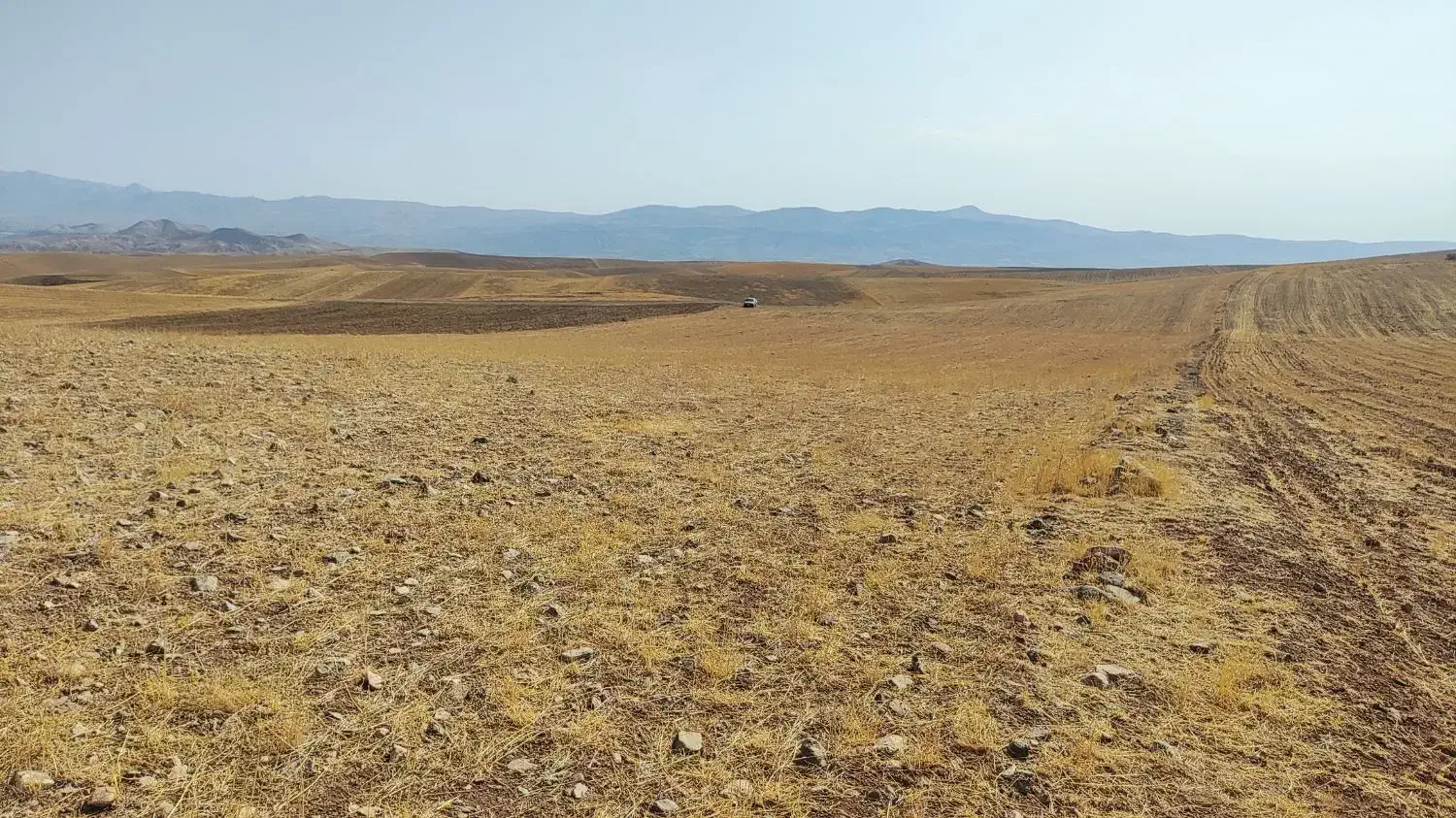 فروش زمین کشاورزی دیم|فروش دفتر صنعتی، کشاورزی، تجاری|میانه, |دیوار