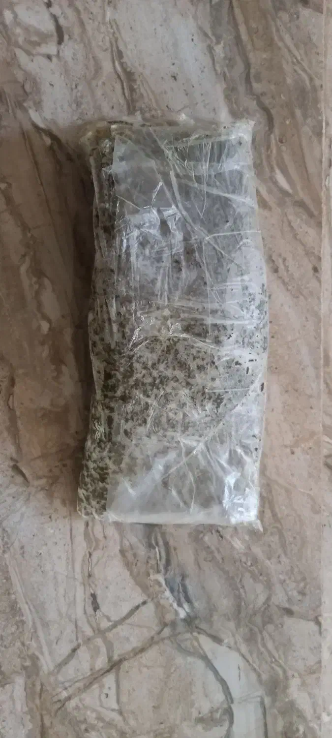 سبزی خورشتی آب پز شده|خوردنی و آشامیدنی|هلیلان, |دیوار