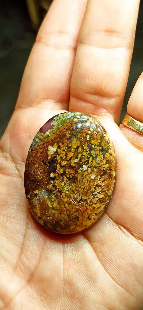 نگین های شجر عالی|جواهرات|سرایان, |دیوار