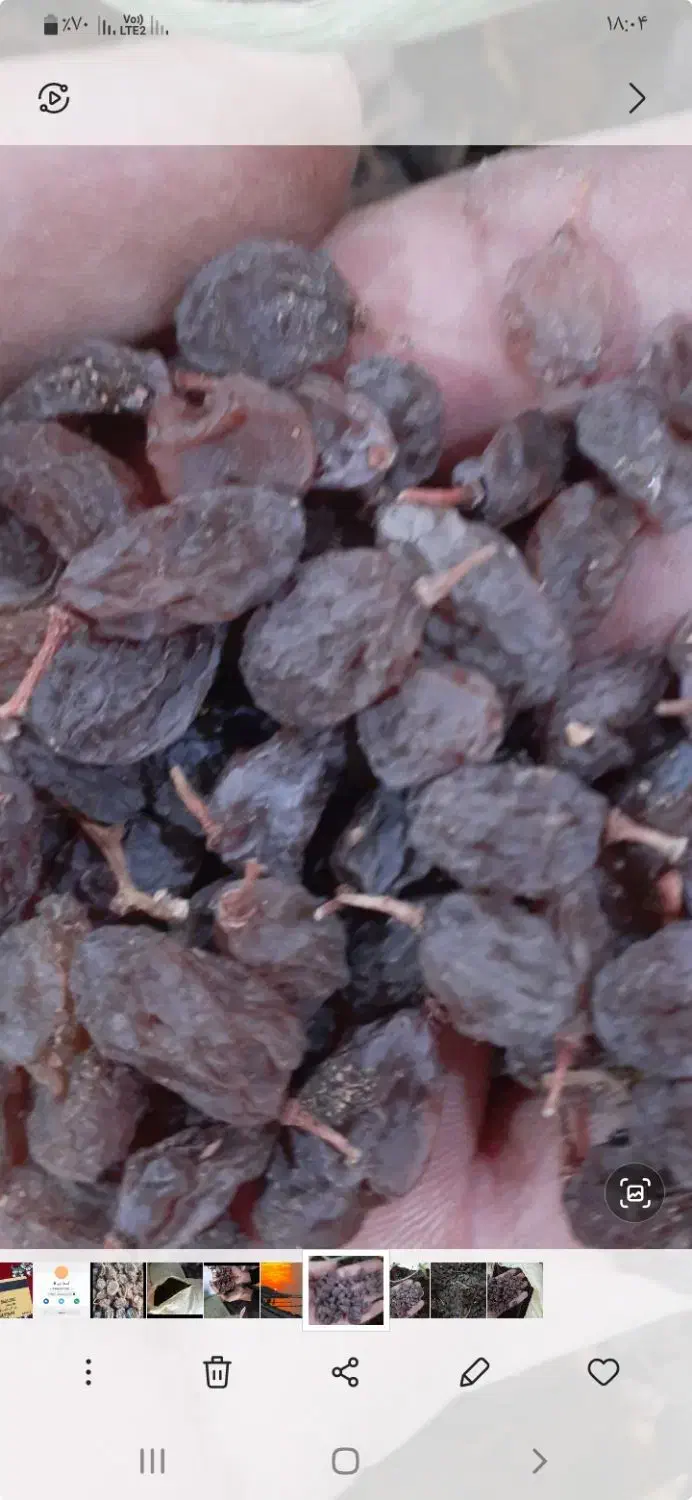 کشمش افتابی|خوردنی و آشامیدنی|شال, |دیوار