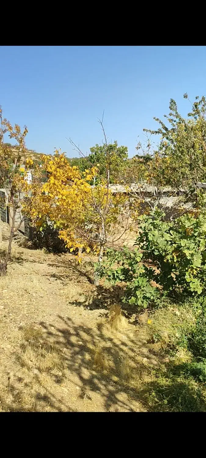 زمین مسکونی|فروش زمین و ملک کلنگی|دشمن زیاری, |دیوار