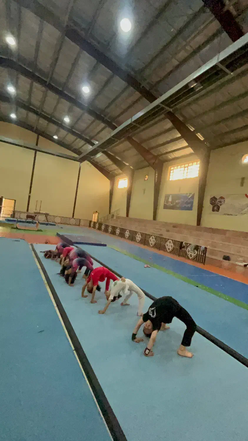 آموزش ژیمناستیک از مبتدی تا پیشرفته در گرگان|خدمات آموزشی|گرگان, |دیوار