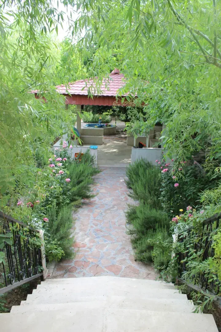 باغبانی|خدمات باغبانی و درختکاری|محمدشهر, محمدشهر|دیوار