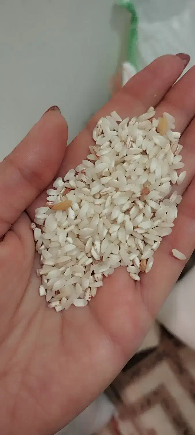 برنج دخل|خوردنی و آشامیدنی|رشت, لاکان|دیوار