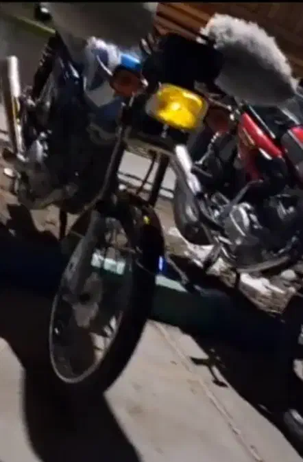 همتاز 125 مدل 99|موتورسیکلت|شیروان (خراسان), |دیوار