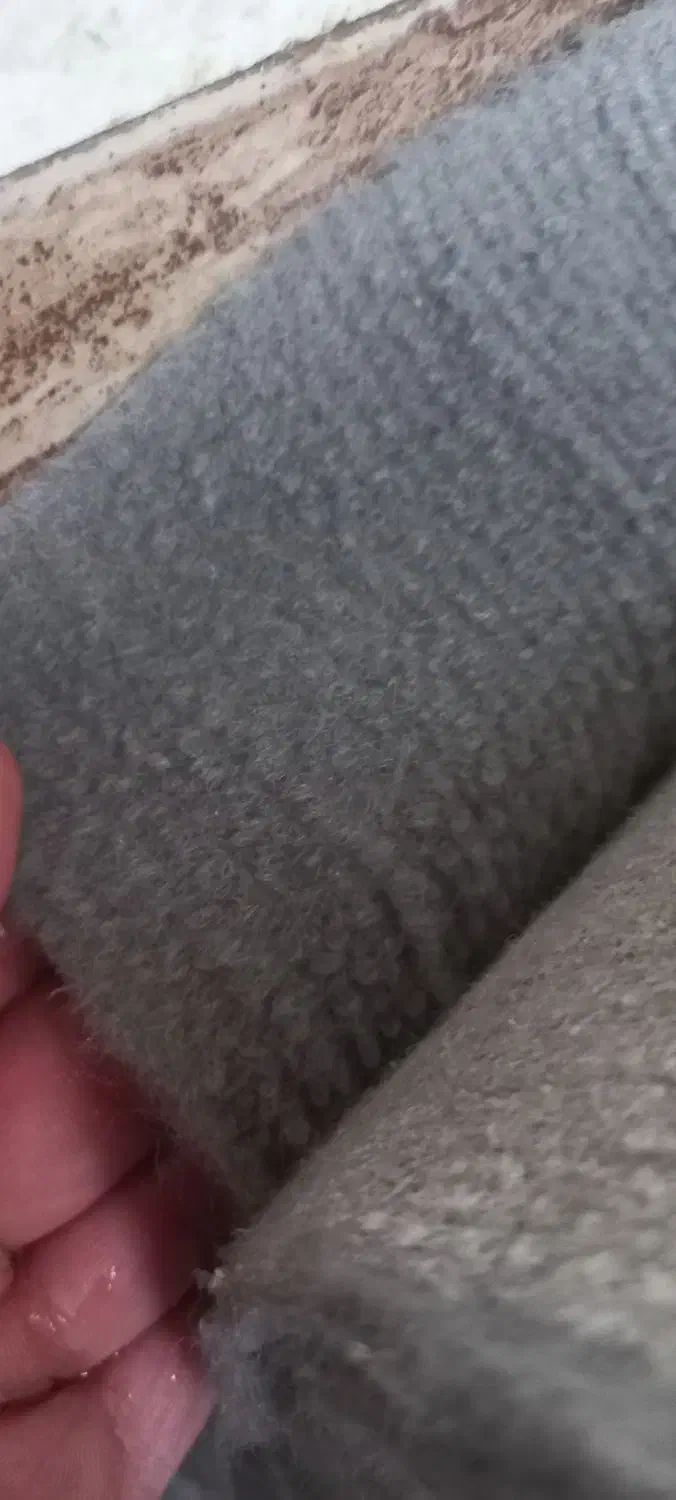 موکت|موکت|رشت, عینک|دیوار