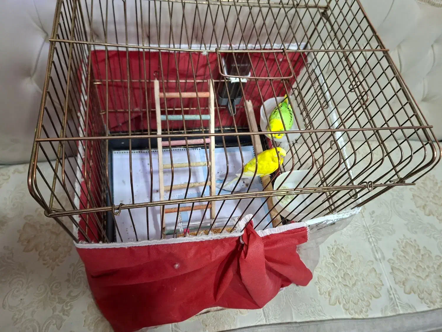 مرغ عشق|پرنده|شیراز, صنایع الکترونیک|دیوار