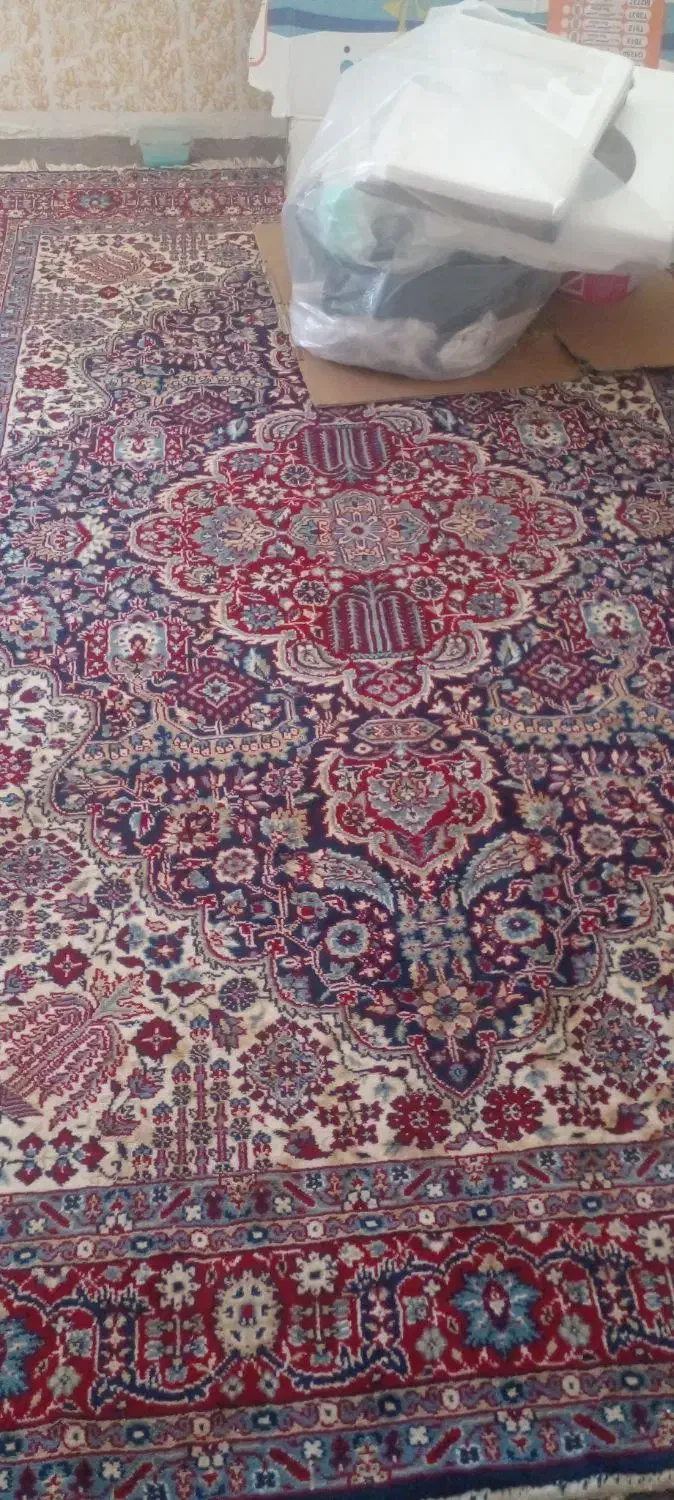 فرش ۶متری|فرش|ایلام, |دیوار