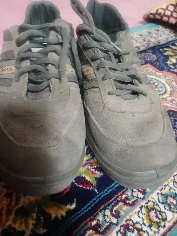 کتانی|کیف، کفش، کمربند|قم, حنیف نژاد|دیوار