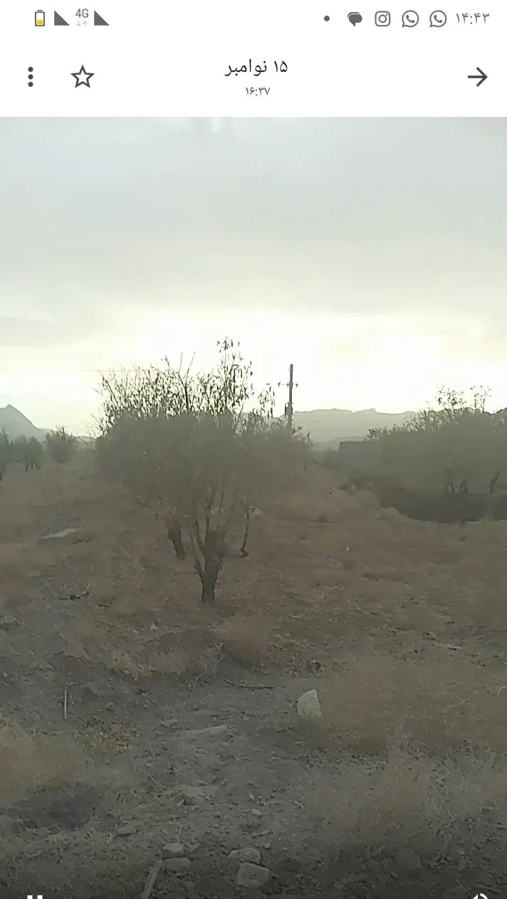 زمین باغی|فروش زمین و ملک کلنگی|تفت, |دیوار