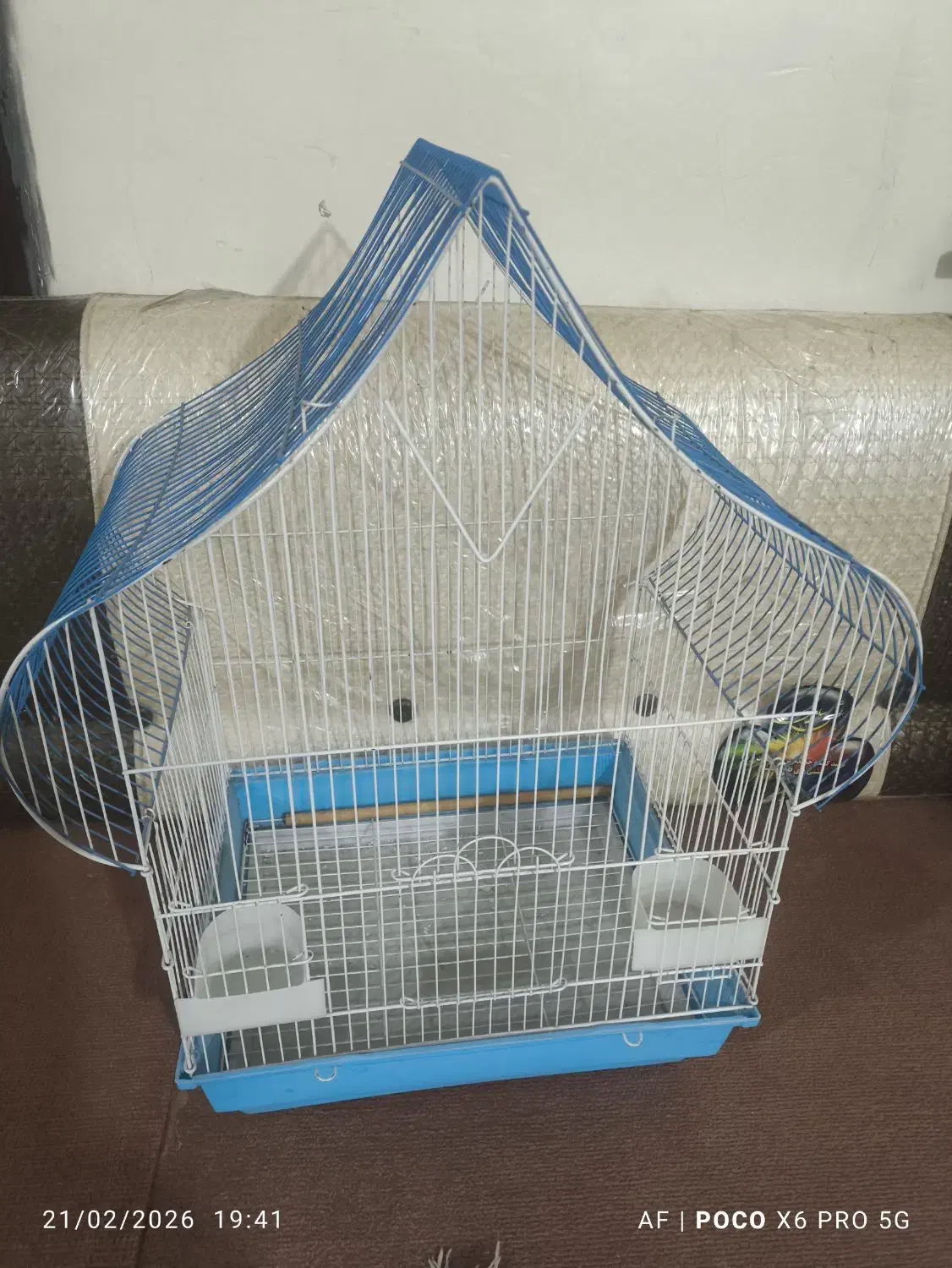 قفس پرنده|لوازم جانبی حیوانات|مسجد سلیمان, |دیوار