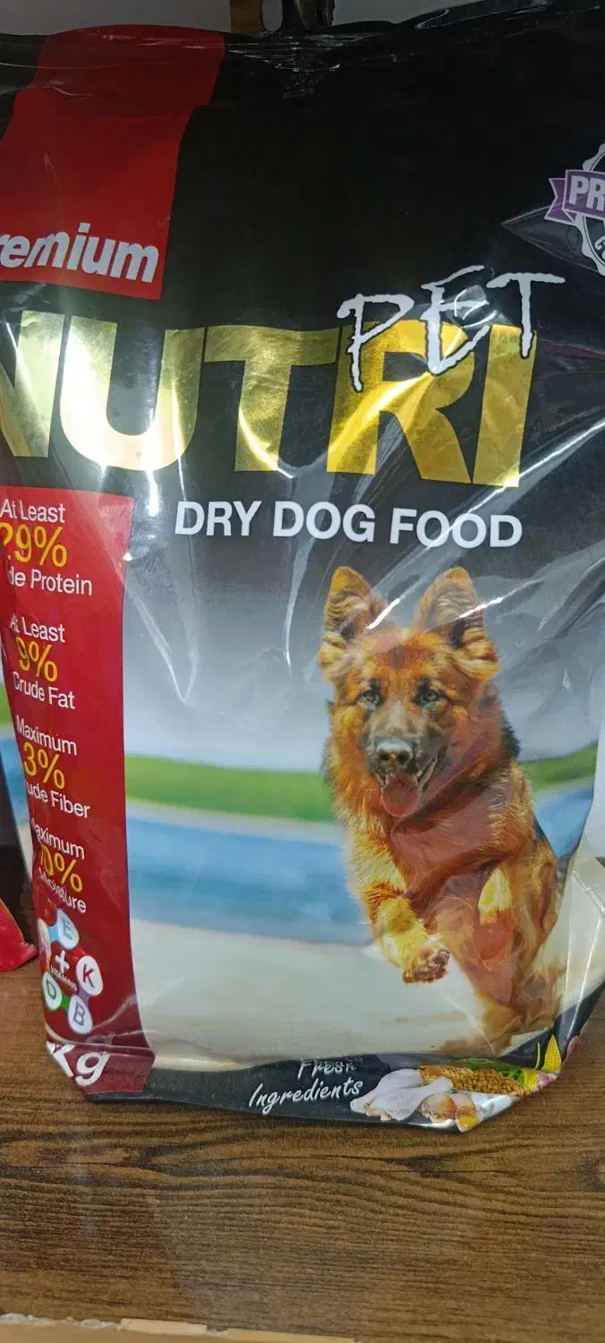 آف ویژه غذا خشک سگ  و گربه|لوازم جانبی حیوانات|بروجرد, |دیوار