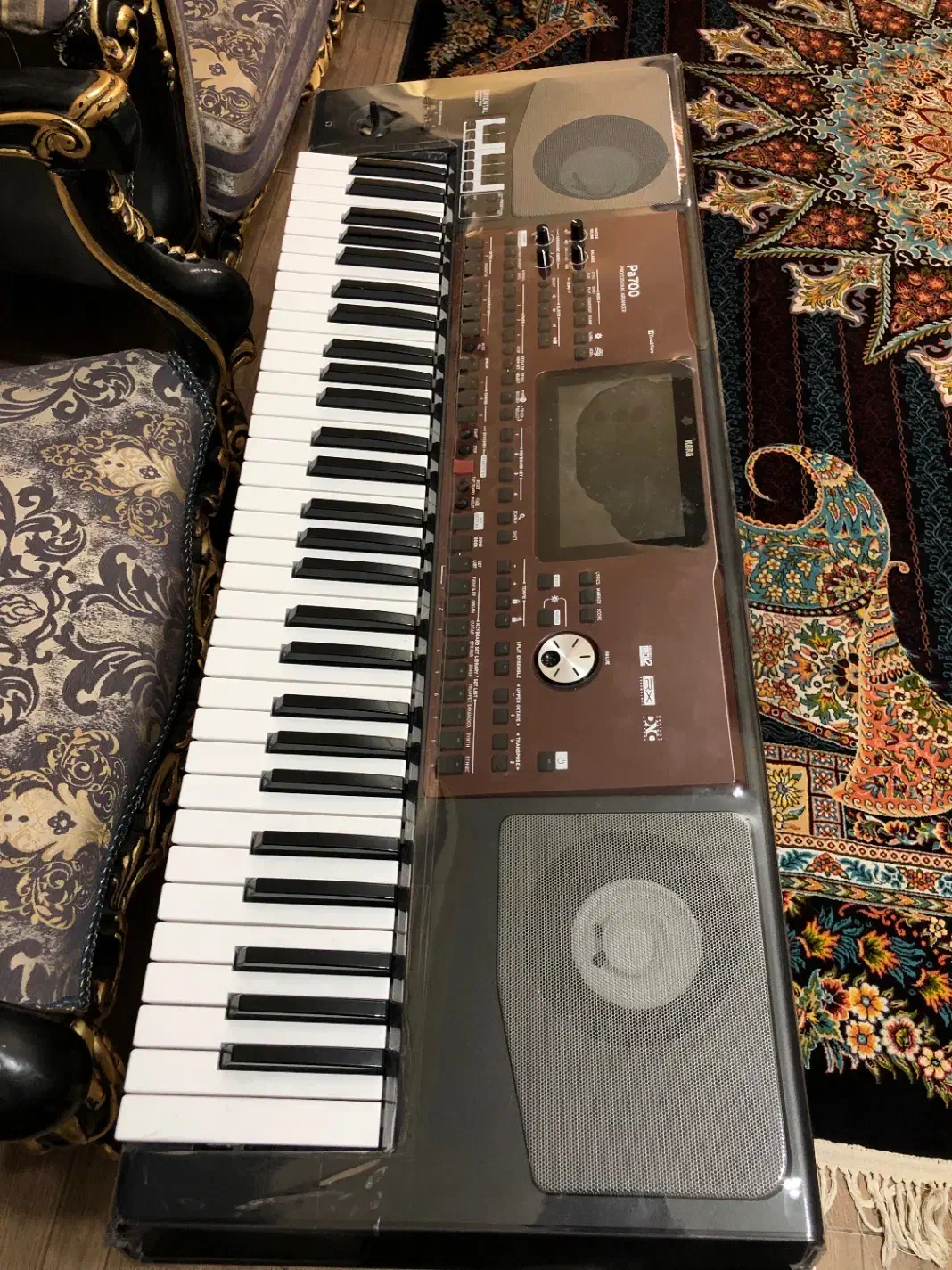 آلات موسیقی ارگ|پیانو، کیبورد، آکاردئون|بوشهر, |دیوار