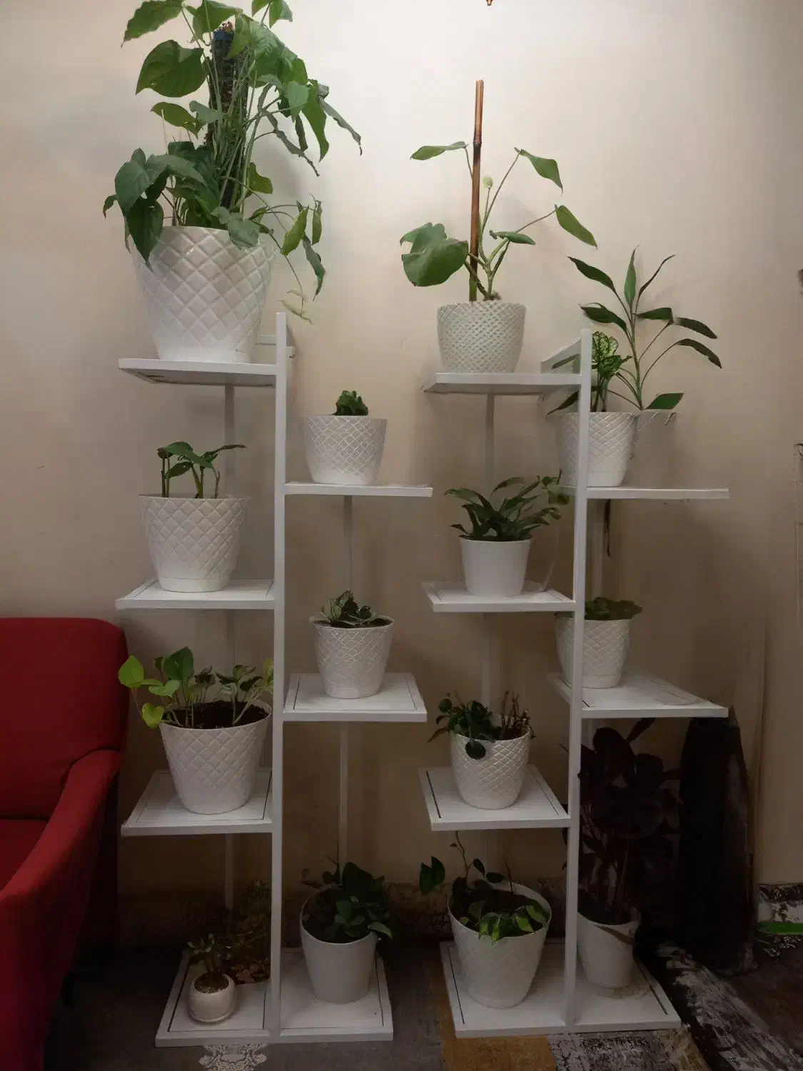 استند گل|گل و گیاه طبیعی|تهران, خاک سفید|دیوار