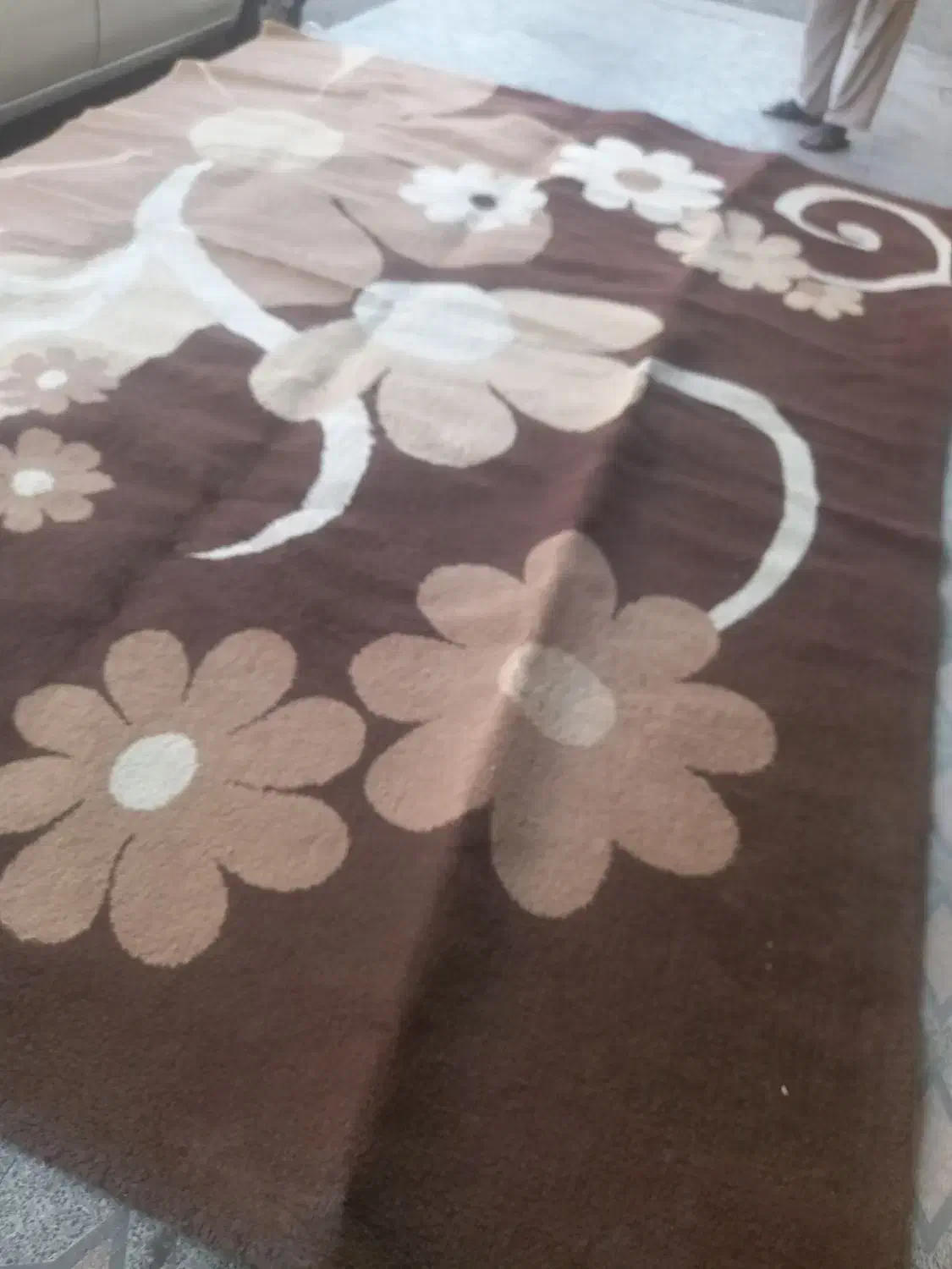 قالی۱۲متری دو عدد|فرش|اهواز, باغ شیخ|دیوار