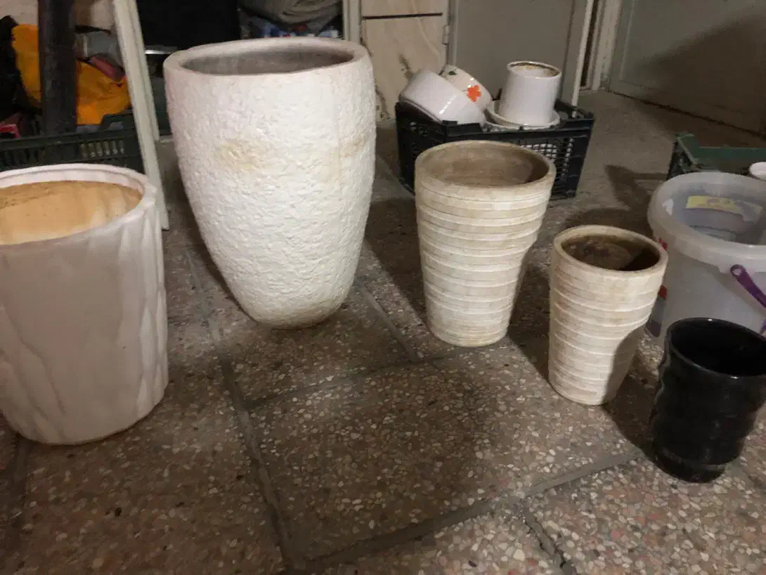 گلدان|گل و گیاه طبیعی|مشهد, کوثر|دیوار