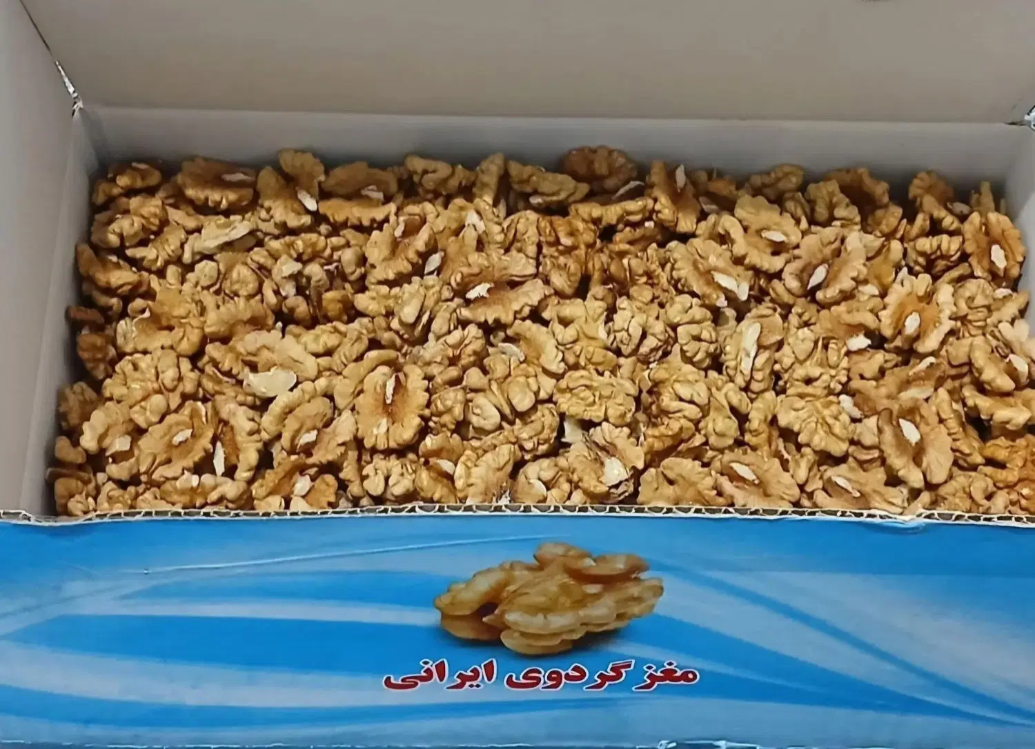 گردو|خوردنی و آشامیدنی|تهران, باغ خزانه|دیوار