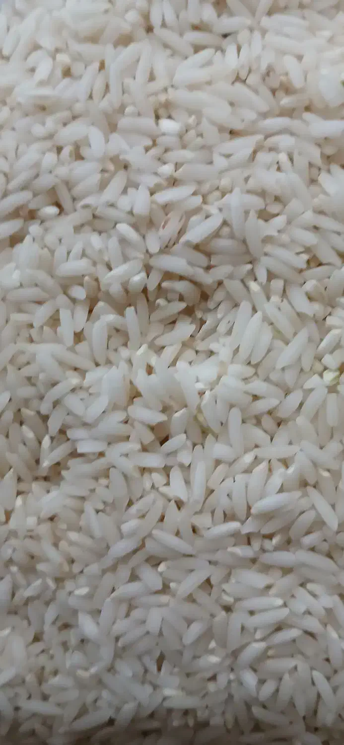 برنج هاشمی درجه یک دورود لرستان|خوردنی و آشامیدنی|فردیس, منظریه|دیوار