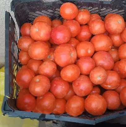 گوجه قرمز|عمدهفروشی|تاکستان, |دیوار