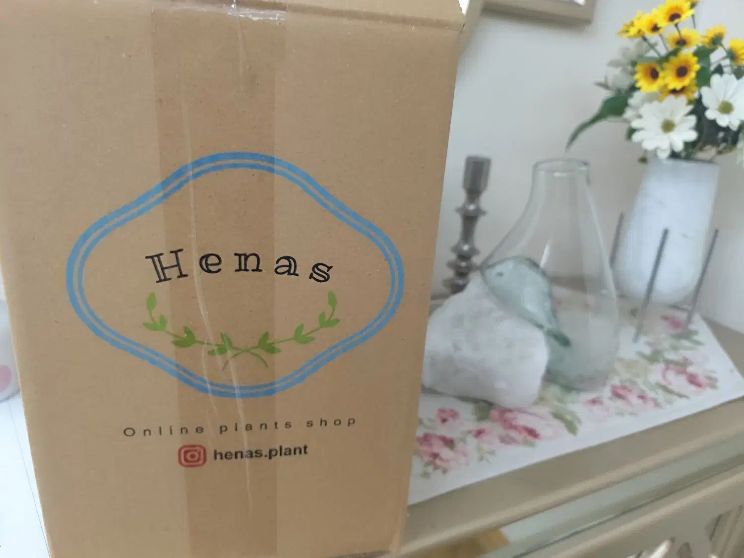 گلدان و سنگ نمک|صنایع دستی و سایر لوازم تزئینی|تهران, سازمان برنامه جنوبی|دیوار