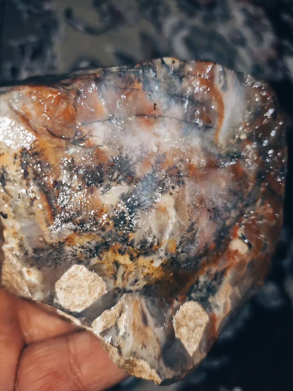 عقیق شجر قاین زمینه خاص|جواهرات|اردبیل, |دیوار