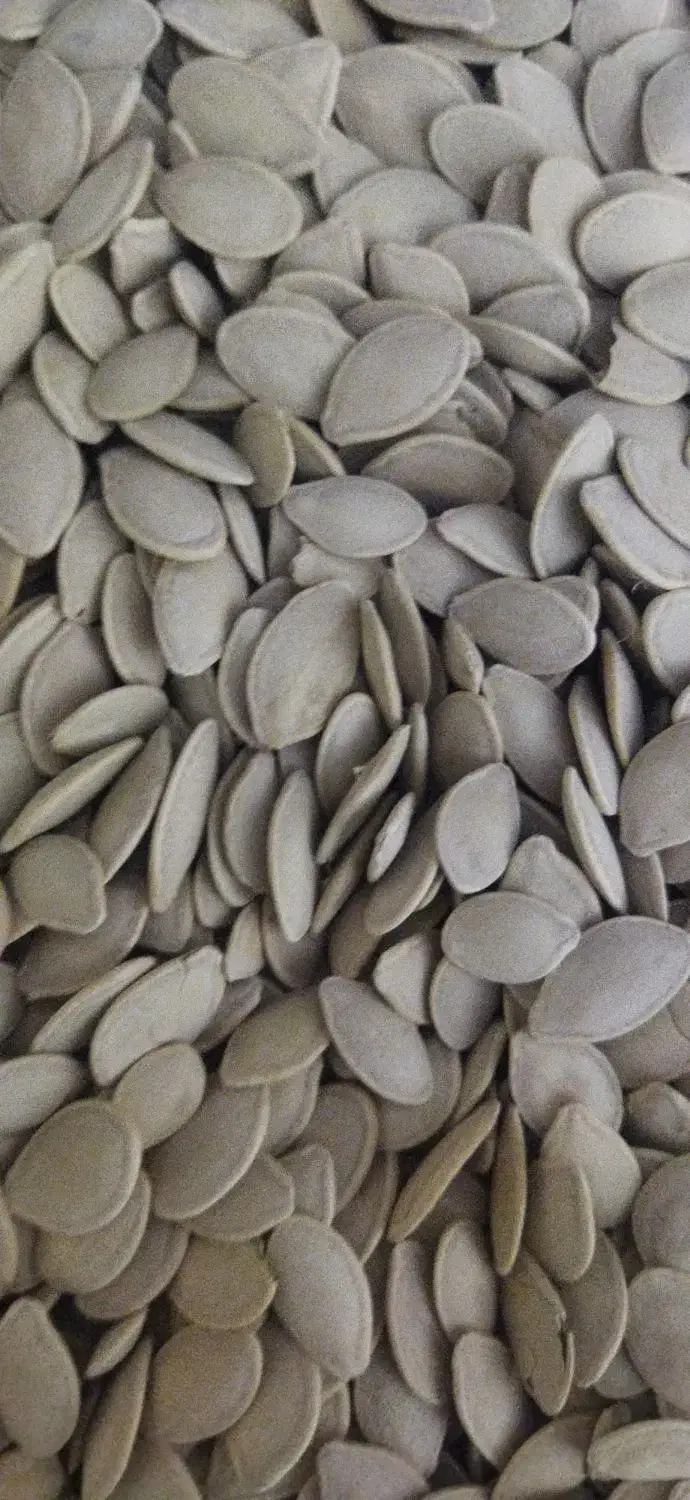 تخمه|خوردنی و آشامیدنی|ارومیه, |دیوار