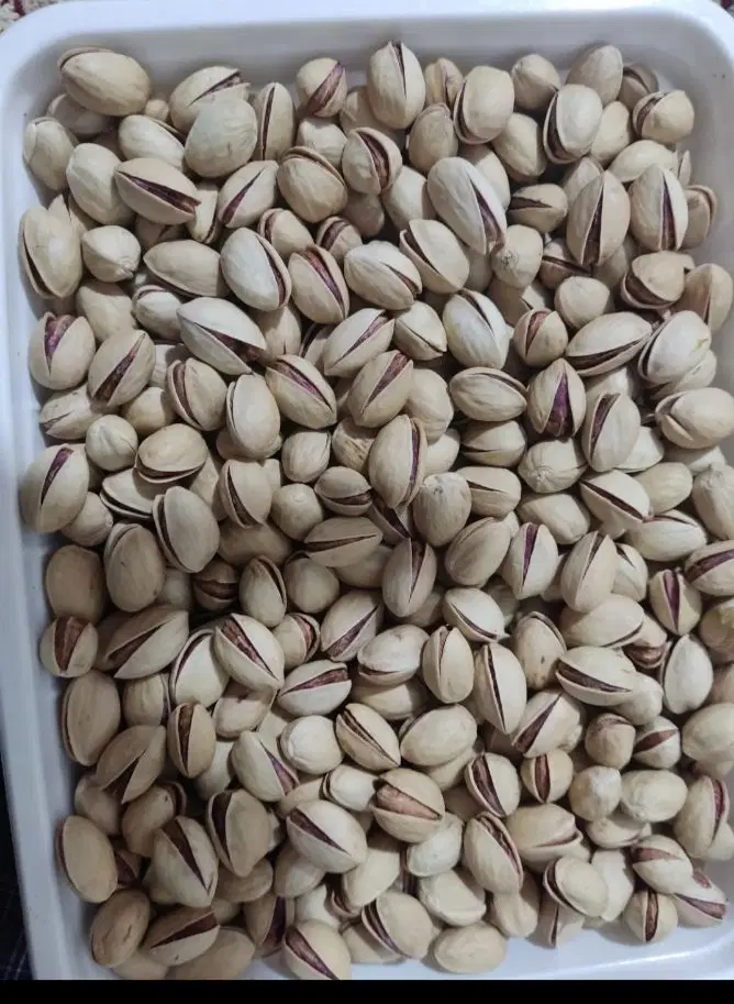 پسته|خوردنی و آشامیدنی|نیشابور, رحمت آباد|دیوار