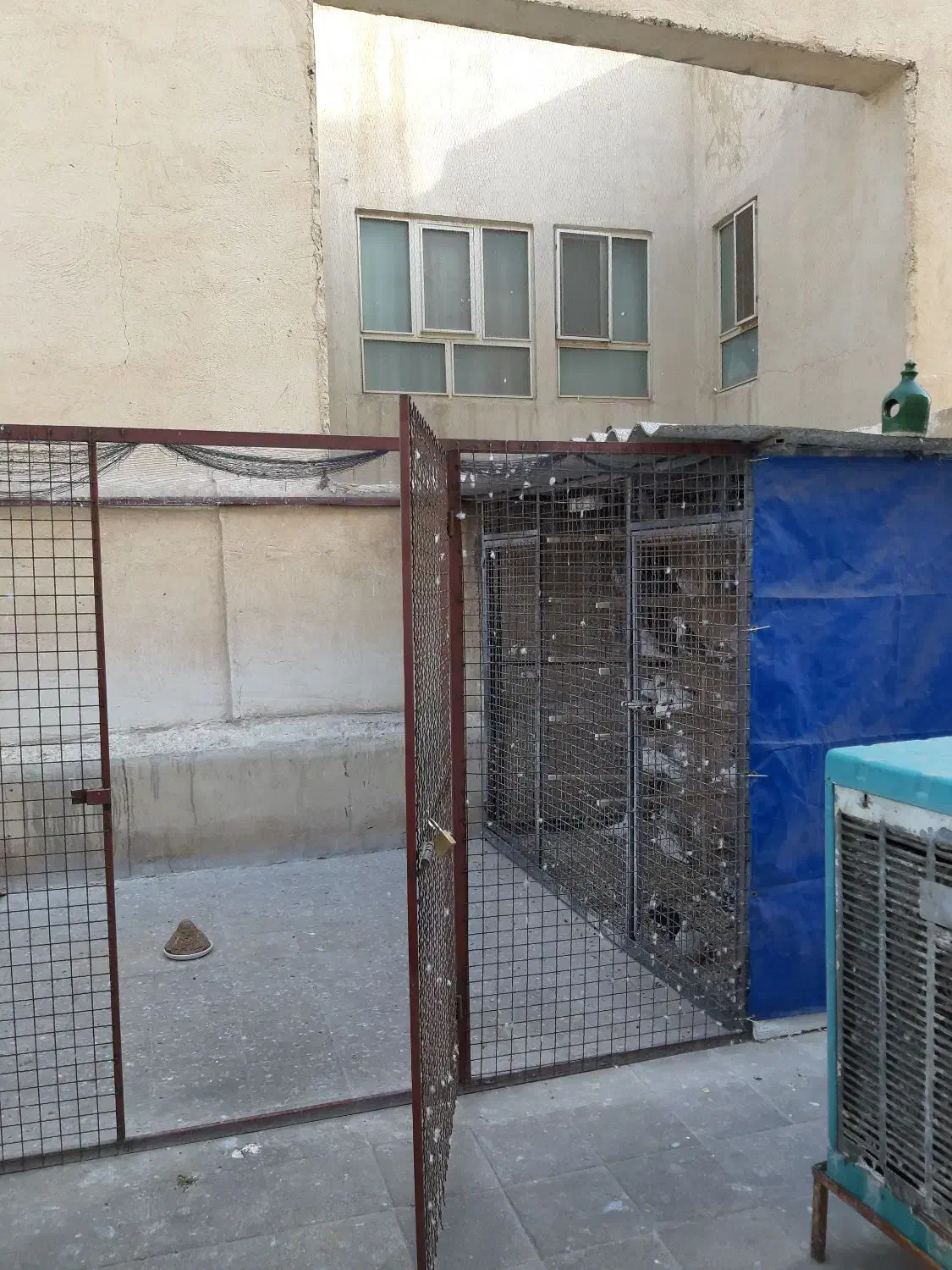 گنجه کفتر|پرنده|تهران, امیریه|دیوار