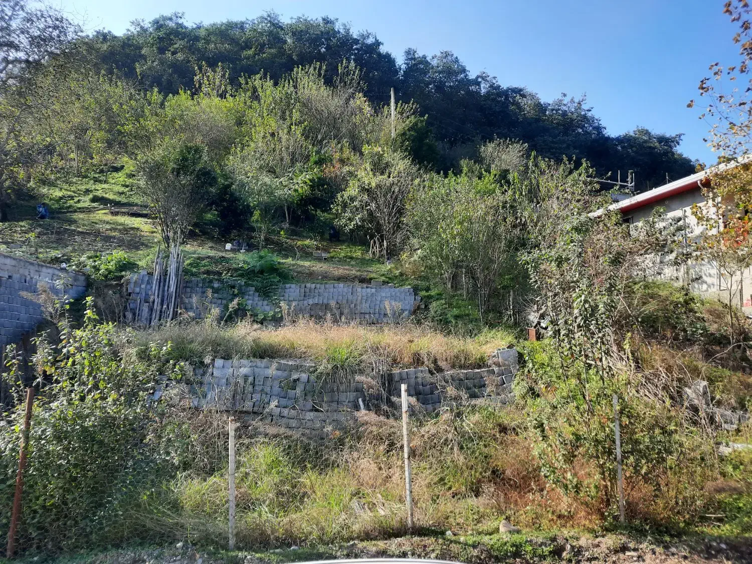 فروش یک قطعه زمین ۱۵۰ متری|فروش زمین و ملک کلنگی|آلاشت, |دیوار