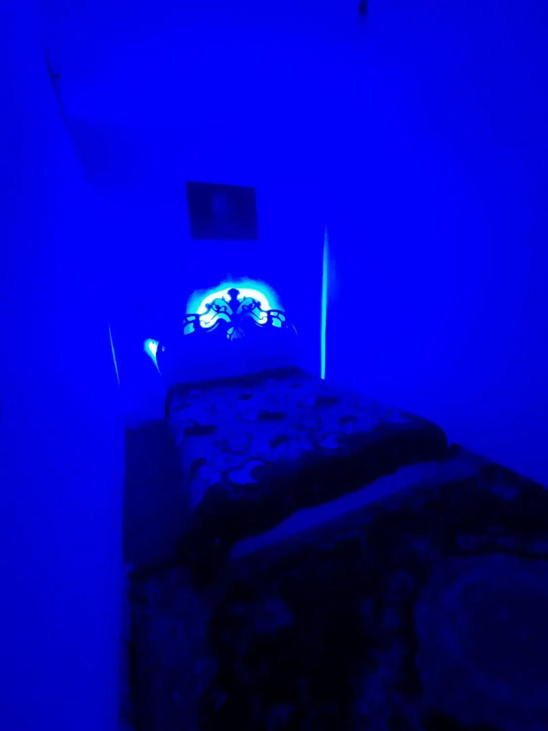 اجاره سوییت در طلاب|اجارهٔ کوتاهمدت آپارتمان و سوئیت|مشهد, حسینآباد|دیوار