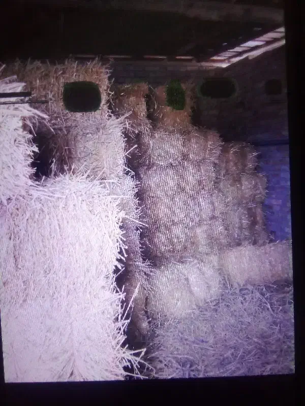 علفبهاره|عمدهفروشی|گنبد کاووس, |دیوار