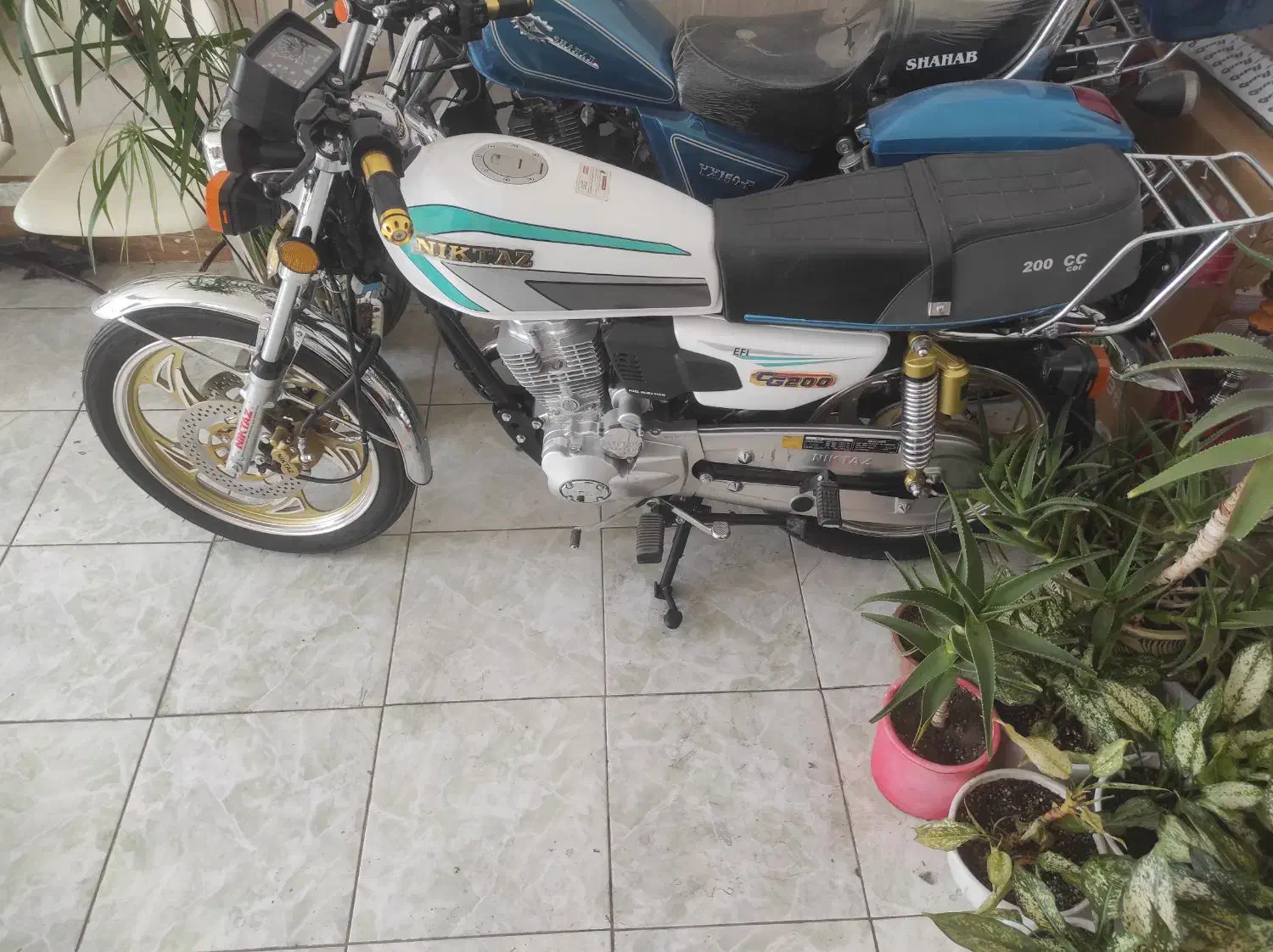 موتور سیکلت|موتورسیکلت|بناب, |دیوار