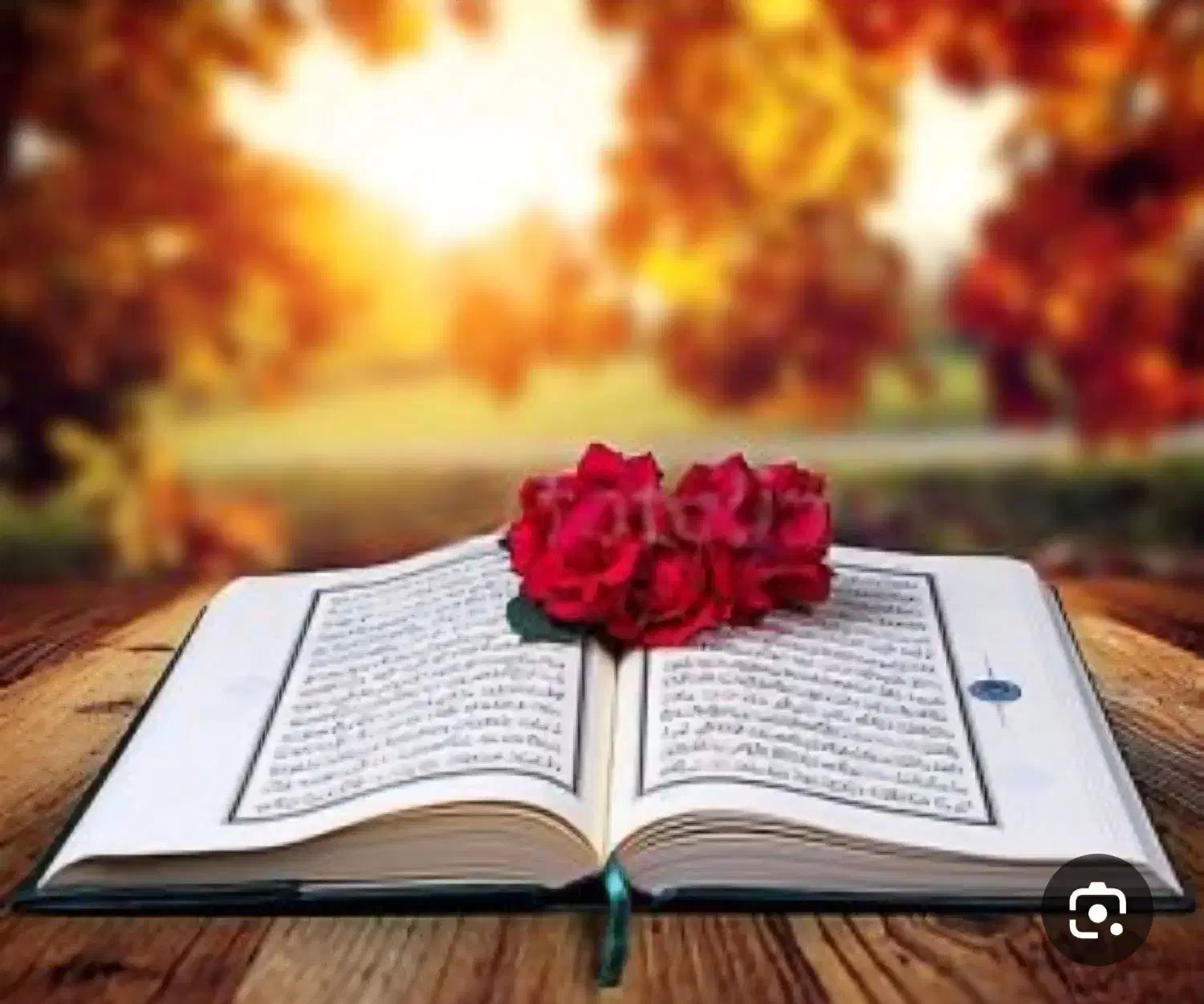 ختم کامل قرآن|کتاب و مجله مذهبی|یزد, |دیوار