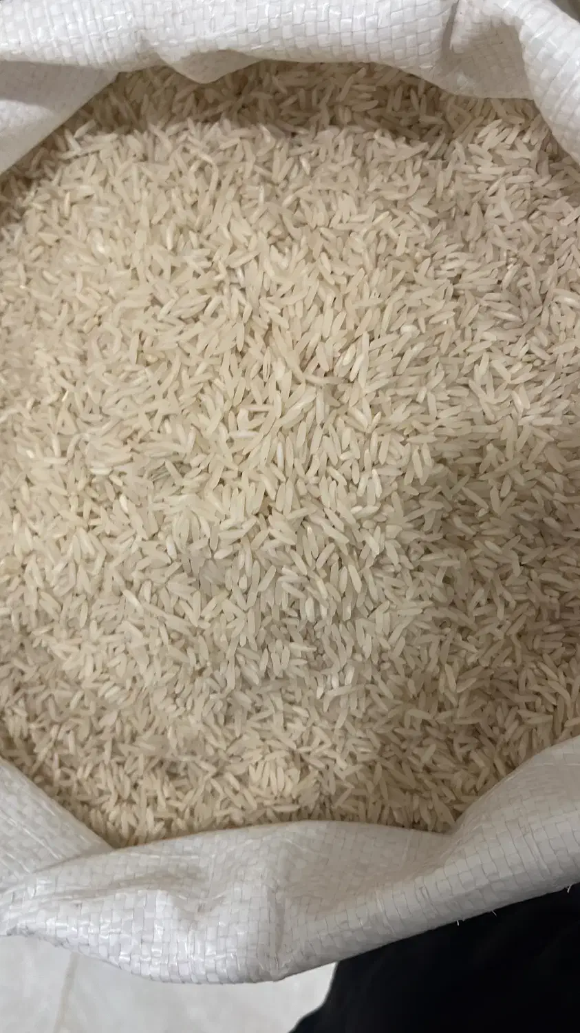 برنج طارم فجر گرگان|خوردنی و آشامیدنی|کیش, |دیوار