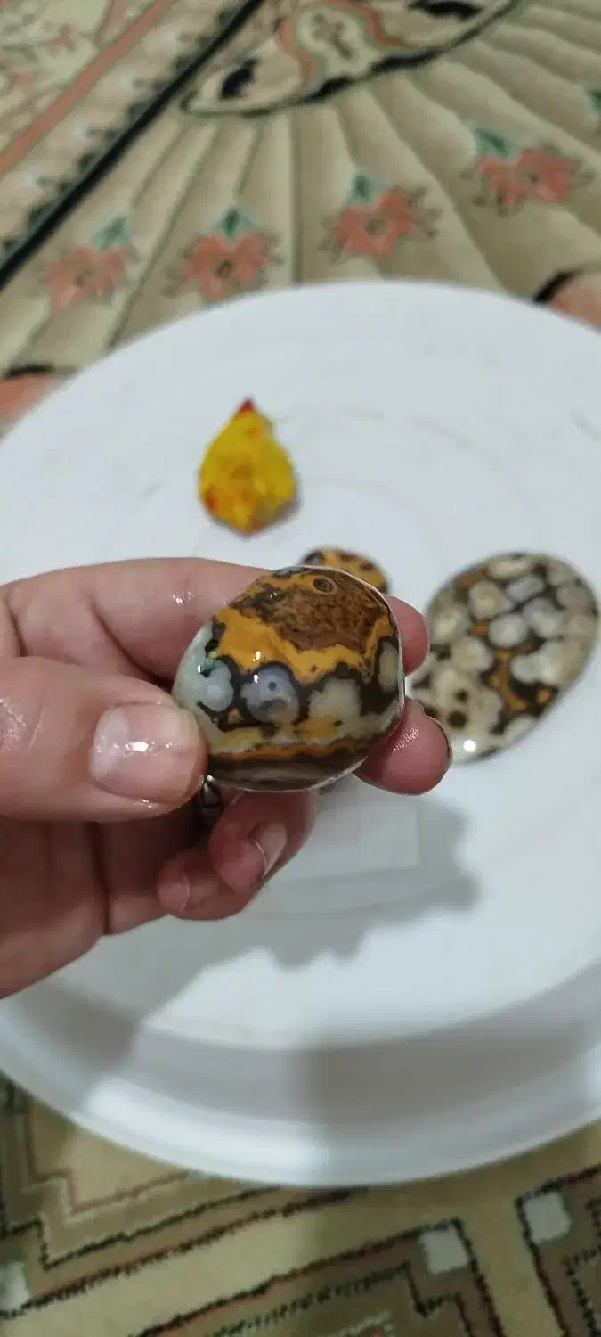 سنگ‌های طبیعی زیبا|کلکسیون اشیاء عتیقه|تکاب, |دیوار