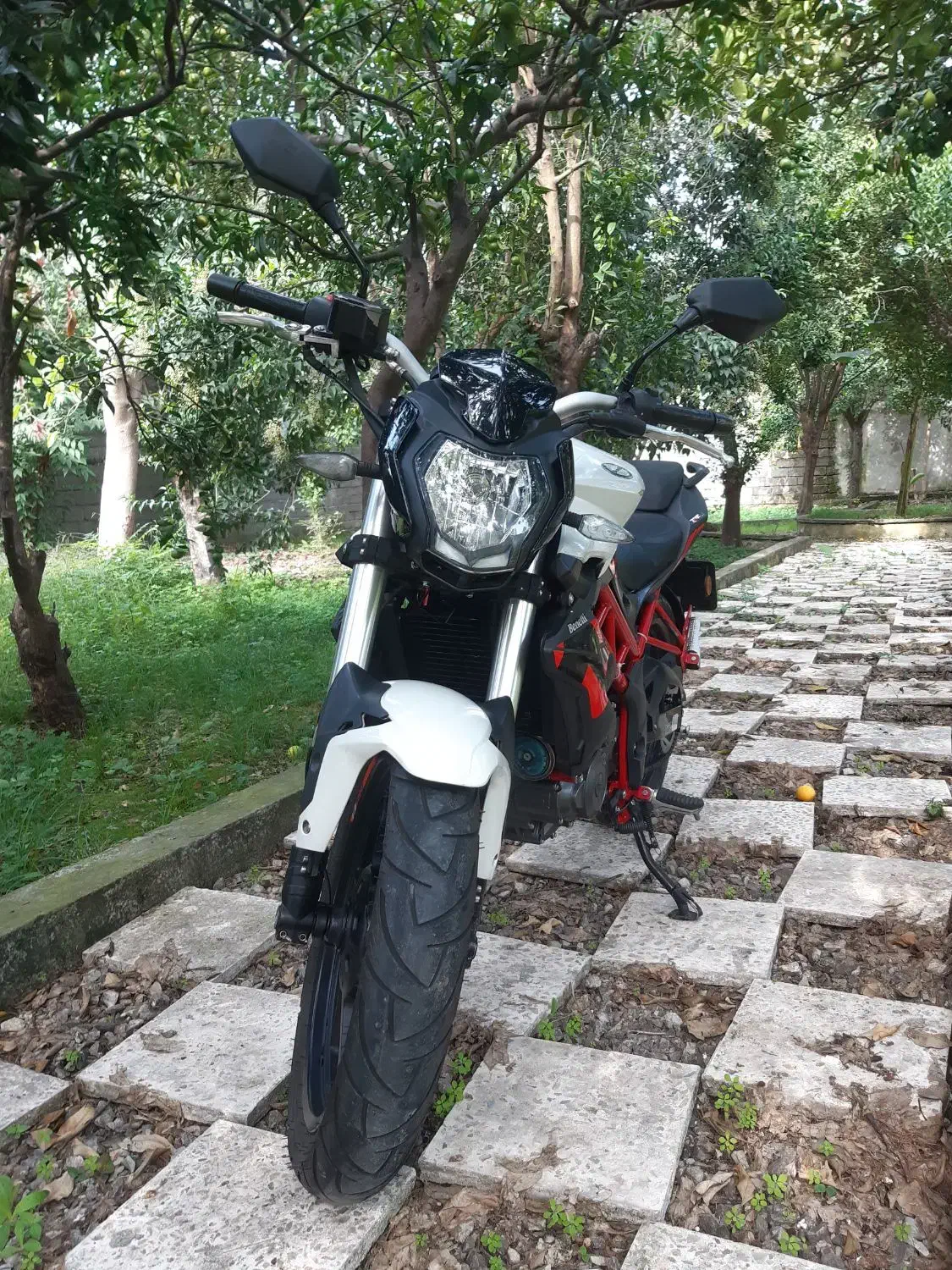 بنلی ۲۵۰ تک سیلندر|موتورسیکلت|نوشهر, |دیوار